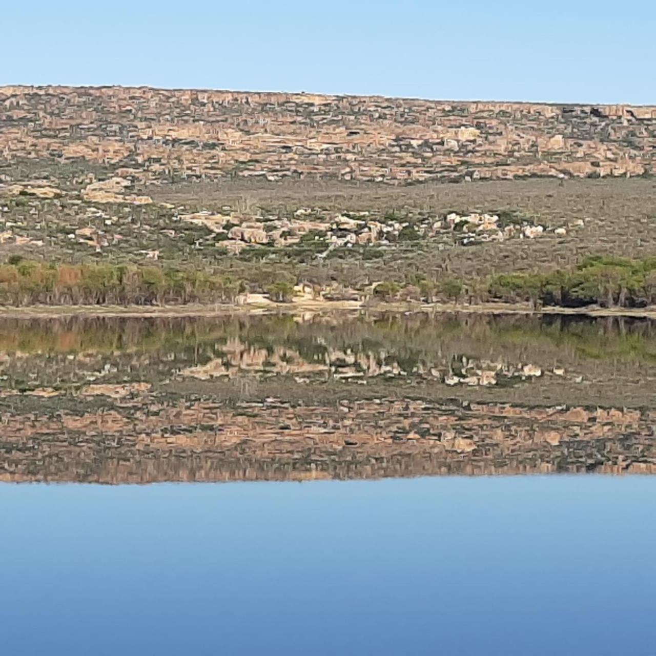 Neels Cottage Clanwilliam Extérieur photo